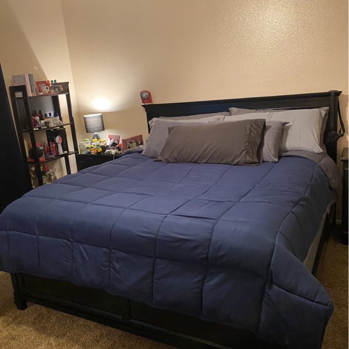 Lark Manor Gilpin Solid And Manufactured Wood Panel Bed W004506999